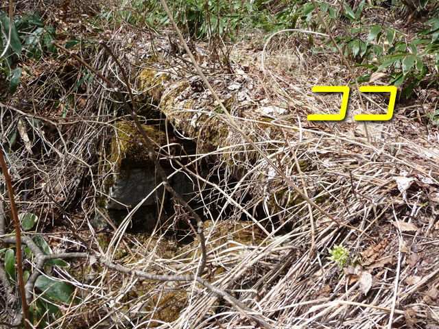 ����X�ѓS��,�p����,�ѓS,�O�Y�_���Δ�,�ؑ]�X