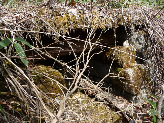 ����X�ѓS��,�p����,�ѓS,�O�Y�_���Δ�,�ؑ]�X,�؋�