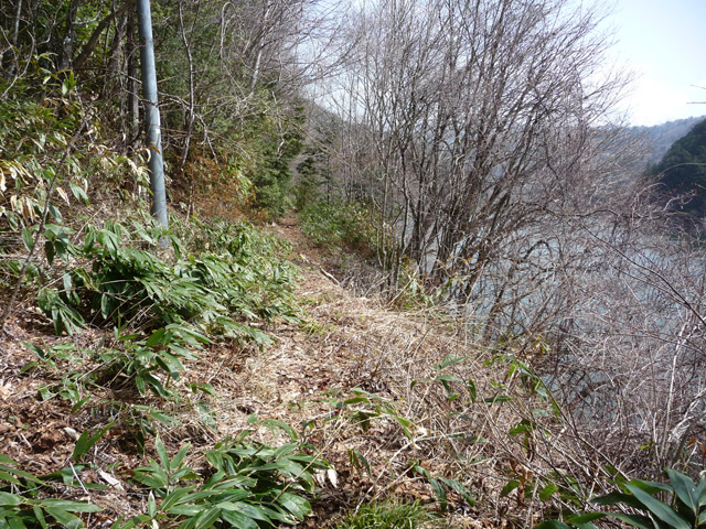 ����X�ѓS��,�p����,�ѓS,�O�Y�_���Δ�,�ؑ]�X,�O����