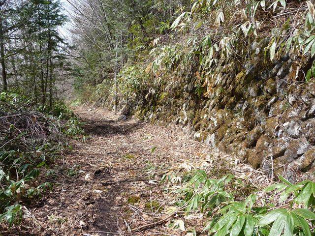 ����X�ѓS��,�p����,�ѓS,�O�Y�_���Δ�,�ؑ]�X