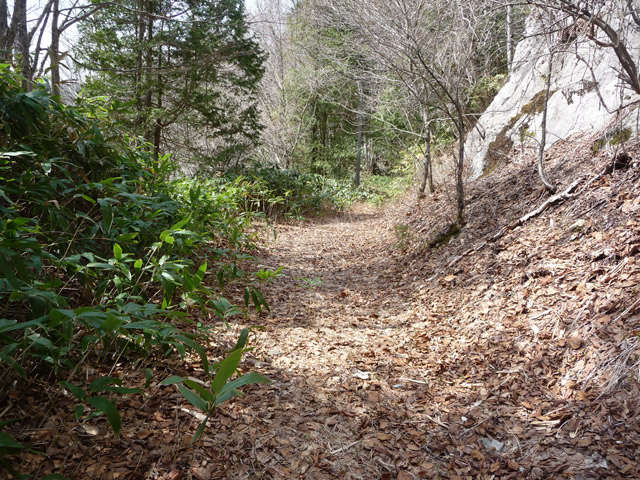 ����X�ѓS��,�p����,�ѓS,�O�Y�_���Δ�,�ؑ]�X