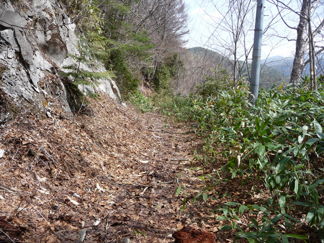 ����X�ѓS��,�p����,�ѓS,�O�Y�_���Δ�,�ؑ]�X