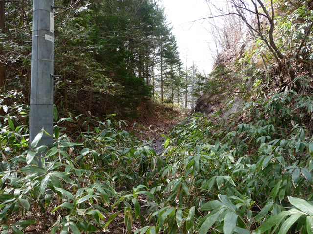 ����X�ѓS��,�p����,�ѓS,�O����,�ؒ�,�ؑ]�X