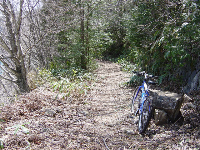 ����X�ѓS��,�p����,�ѓS,�O����,�O�Y�_���Δ�,�ؑ]�X