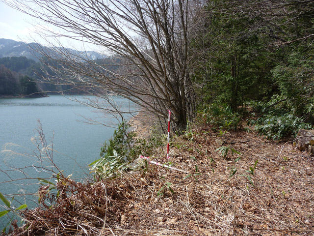 ����X�ѓS��,�p����,�ѓS,�O����,�O�Y�_���Δ�,�ؑ]�X