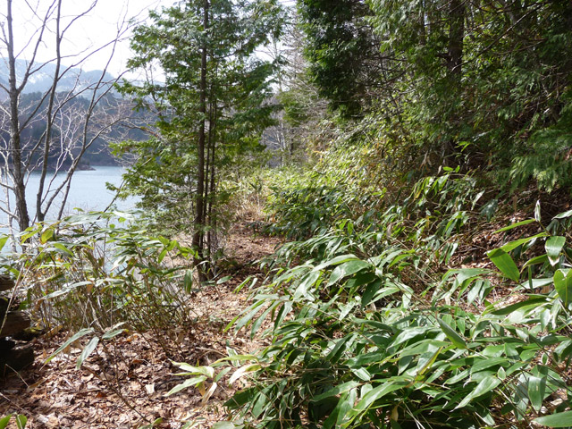 ����X�ѓS��,�p����,�ѓS,�O�Y�_���Δ�,�ؑ]�X