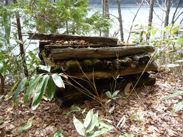 ����X�ѓS��,�p����,�ѓS,����,�ؑ]�X