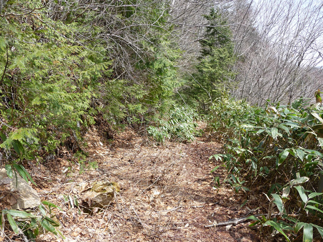 ����X�ѓS��,�p����,�ѓS,�ؑ]�X,�H��,����