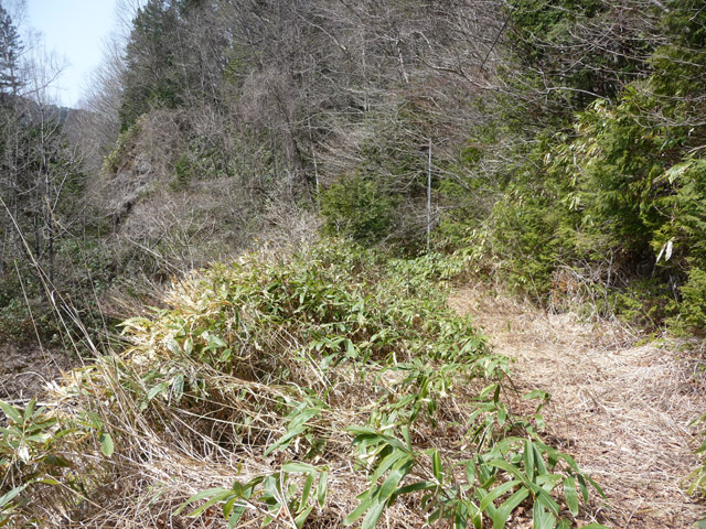 ����X�ѓS��,�p����,�ѓS,�ؑ]�X,�H��,����