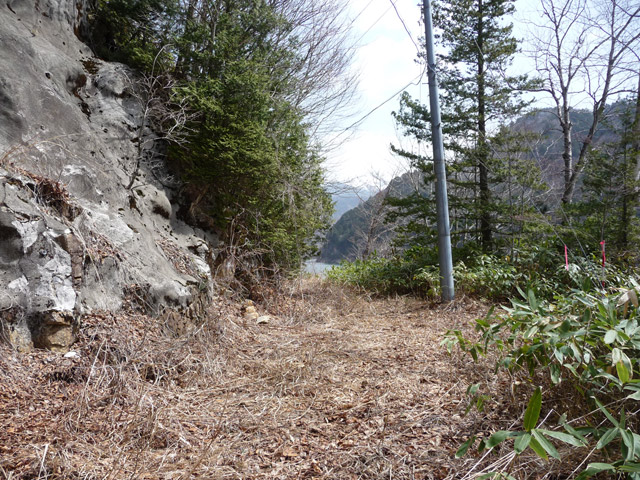 ����X�ѓS��,�p����,�ѓS,�ؑ]�X,�H��,����