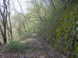 ����X�ѓS�����ː���u���z��ԏ�[�����򋴗��v