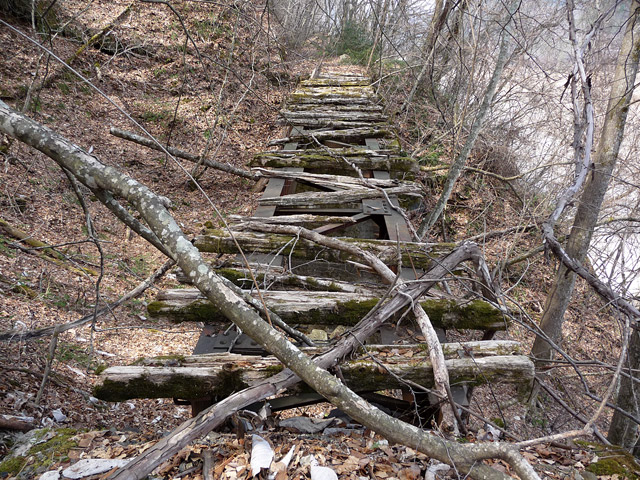 ���ː�X�ѓS��,�E�n�V��,�ѓS,�p����,�O����