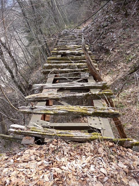 ���ː�X�ѓS��,�E�n�V��,�ѓS,�p����,�O����