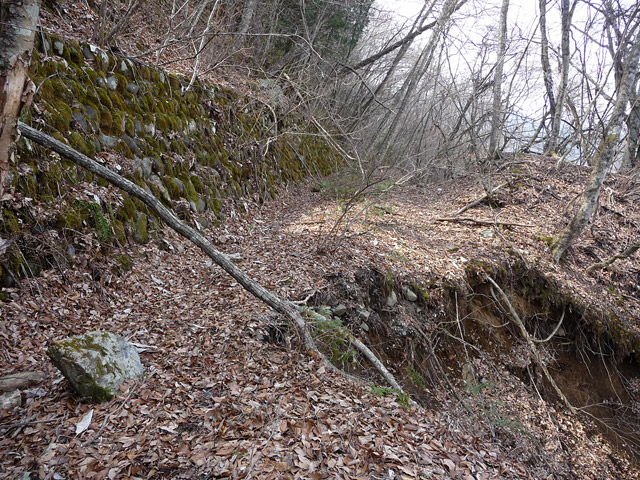 ���ː�X�ѓS��,�ѓS,�p����,�O����