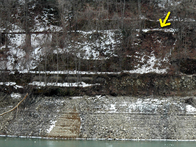 ���ː�X�ѓS��,�ѓS,�p����,�O����