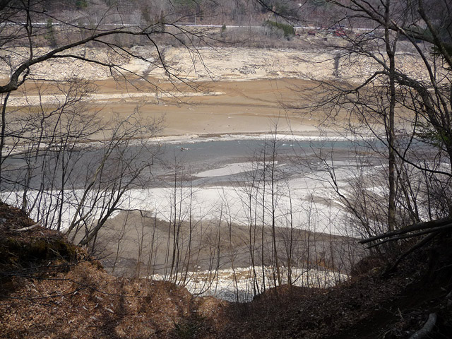 ���ː�X�ѓS���u�E�n�V���[�����򋴗��v