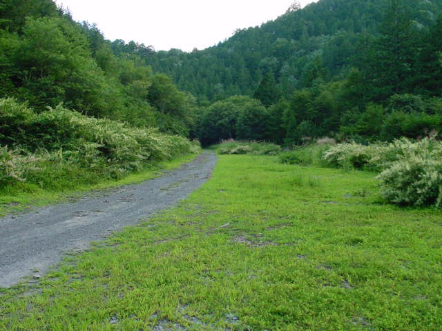 ����X�ѓS�����ː��,���ː��ԏ�,���ː쐻�i���Ə�