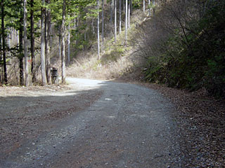 ����X�ѓS�����ː��,�V���򋴗�,�ѓS,�p����