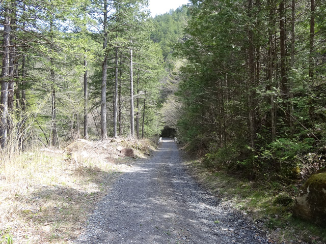 ����X�ѓS�����ː��,�ѓS,�p����,���z