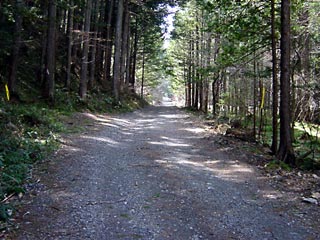 ���ː�X�ѓS��,�ѓS,�p����,�O����,�ѓ�