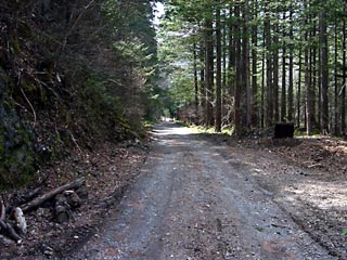 ���ː�X�ѓS��,�ѓS,�p����,�O����,�ѓ�