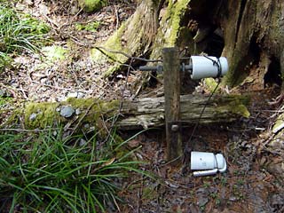 ���ː�X�ѓS��,�ѓS,�p����,�O����,�ʐM��,�V�q