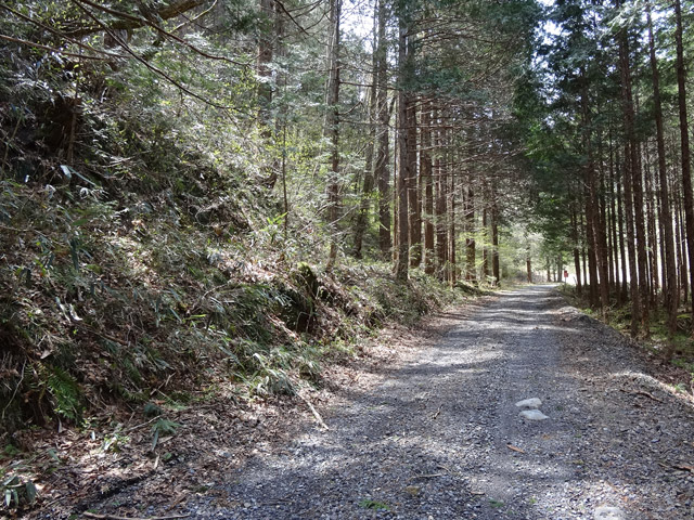 ���ː�X�ѓS��,�ѓS,�p����,��ԏ�,���i���Ə�