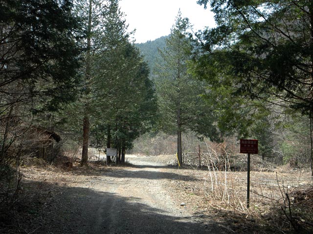 ���ː�X�ѓS��,�ѓS,�p����,��ԏ�,���i���Ə�