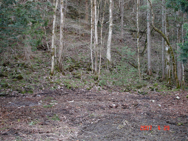 ���ː�X�ѓS��,�ѓS,�p����,��ԏ�,���i���Ə�,������