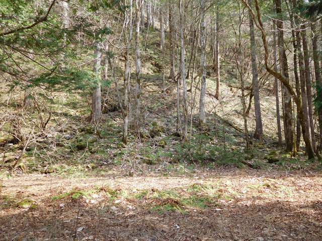 ���ː�X�ѓS��,�ѓS,�p����,��ԏ�,���i���Ə�,������