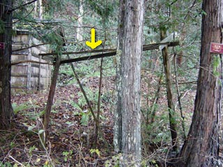 ���ː�X�ѓS��,�ѓS,�p����,��ԏ�,���i���Ə�