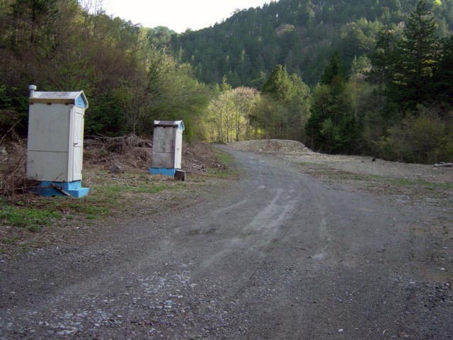 ����X�ѓS�����ː��,��ԏ�,���i���Ə�,�ѓS,�p����