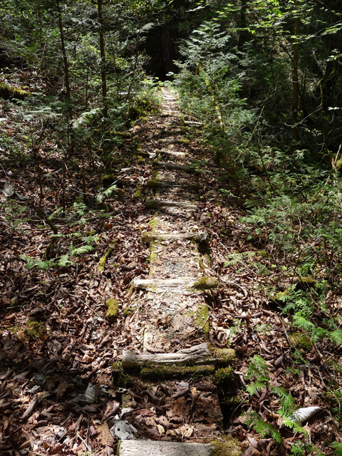 ���ː�X�ѓS��,�ѓS,�p����,�O����,�ؑ���,���ː��Q������,�V��,������