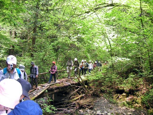 ���ː�X�ѓS��,�ѓS,�p����,�O����,�؋�,���ː�E�H�[�L���O,������