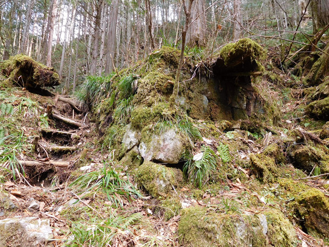 ���ː�X�ѓS��,�ѓS,�p����,�O����,�؋�,����,������