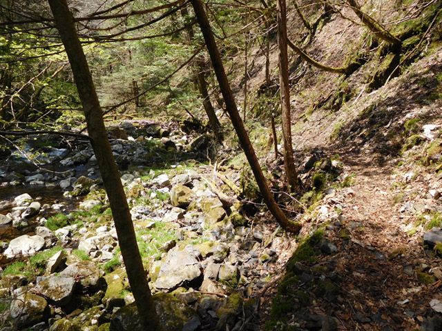 ���ː�X�ѓS��,�ѓS,�p����,���ґ�,�V����,���ꑺ