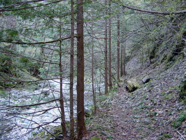 ���ː�X�ѓS��,�ѓS,�p����,���ґ�,�V����,���ꑺ