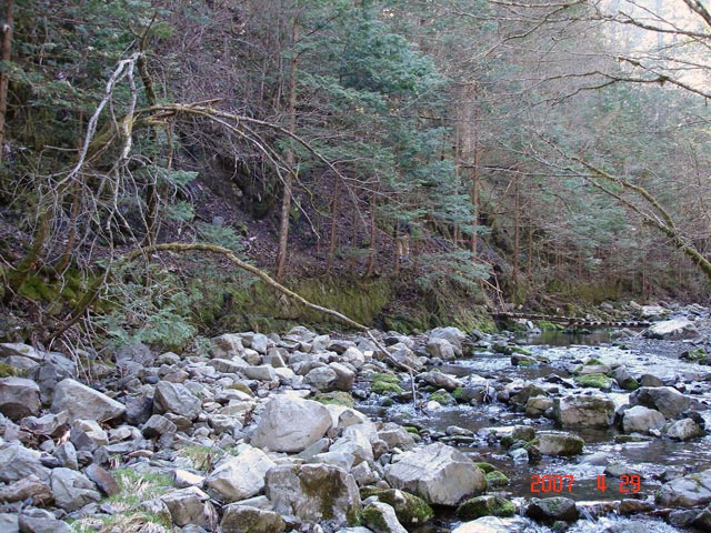 ���ː�X�ѓS��,�ѓS,�p����,���ґ�,�V����,���ꑺ