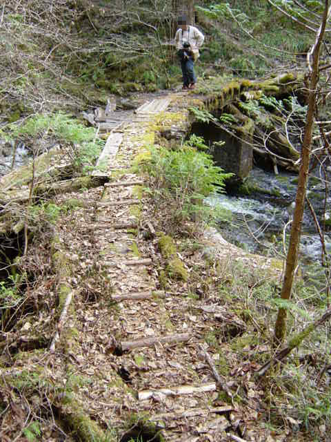 ���ː�X�ѓS��,�ѓS,�p����,�O����,����,�؋�