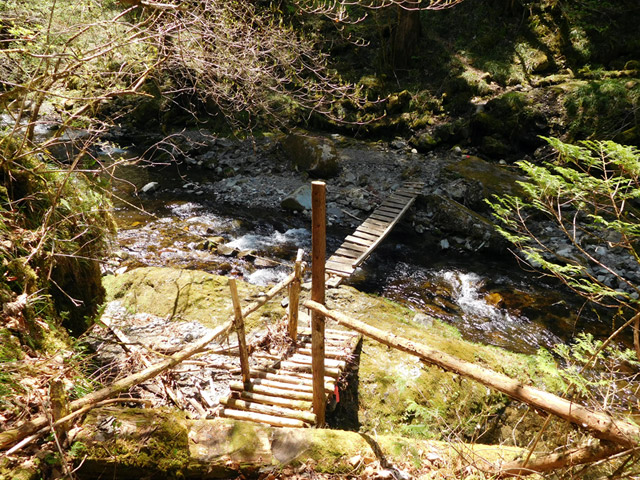 ���ː�X�ѓS��,�ѓS,�p����,���ґ�,������,�؋���