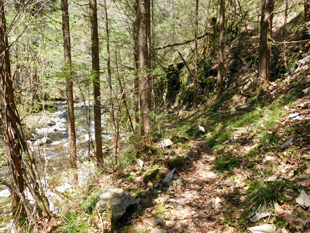 ���ː�X�ѓS��,�ѓS,�p����,���ґ�,������,�؋���