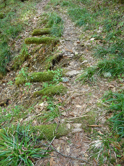 ���ː�X�ѓS��,�ѓS,�p����,�O����,�V����,����