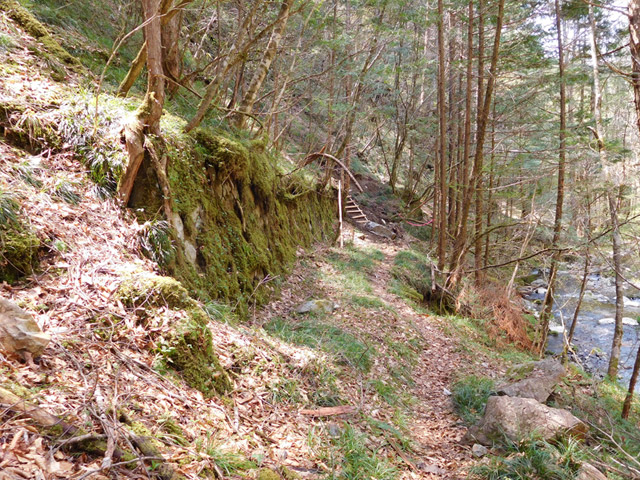 ���ː�X�ѓS��,�ѓS,�p����,�O����,�V����,�i��