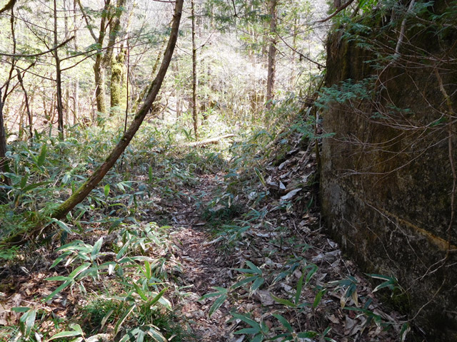 ���ː�X�ѓS��,�ѓS,�p����,�O����,�V����,�Ȑ�