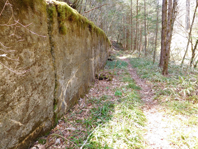 ���ː�X�ѓS��,�ѓS,�p����,�O����,�V����,�i��