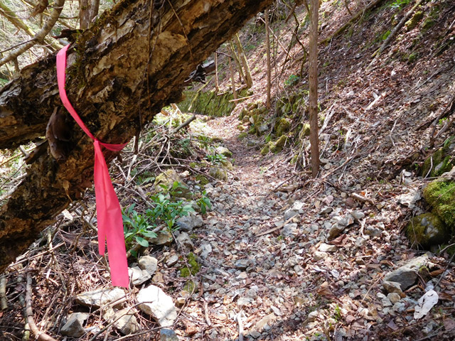 ���ː�X�ѓS��,�ѓS,�p����,�O����,�V����,����,�e�[�v