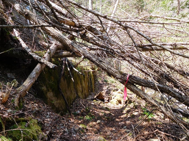 ���ː�X�ѓS��,�ѓS,�p����,�O����,�V����,����,�e�[�v