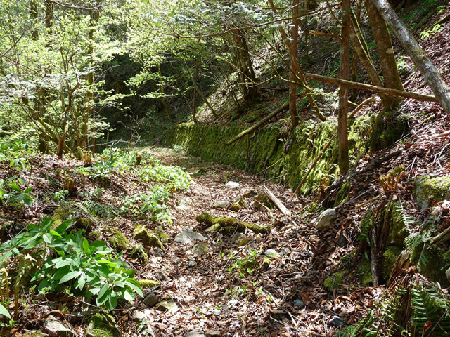 ���ː�X�ѓS��,�ѓS,�p����,�O����,����c�я�,�V����