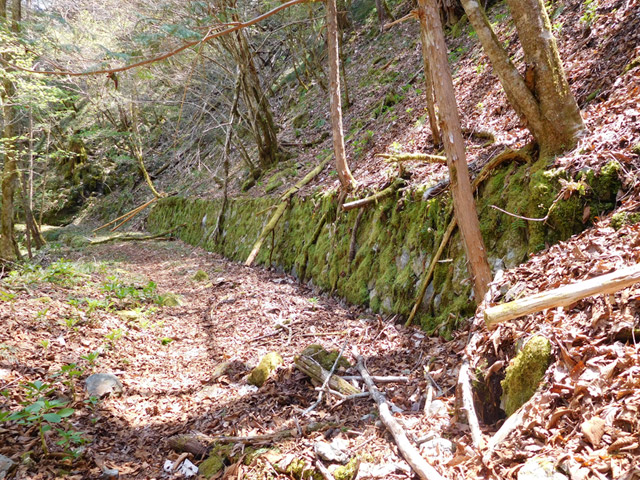 ���ː�X�ѓS��,�ѓS,�p����,�O����,����,�V����,�Ί_