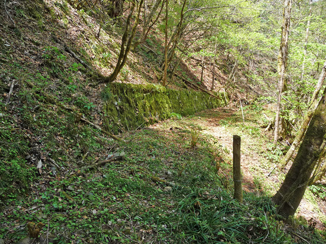 ���ː�X�ѓS��,�ѓS,�p����,�O����,���ː��Z������,����c�я�,����